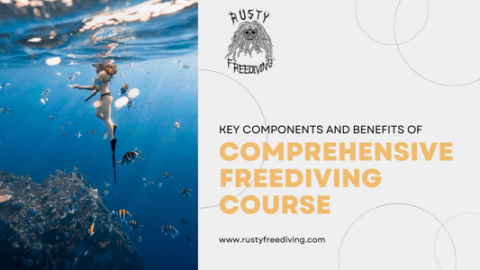 What are the Key Components and Benefits of a Comprehensive Freediving Course
