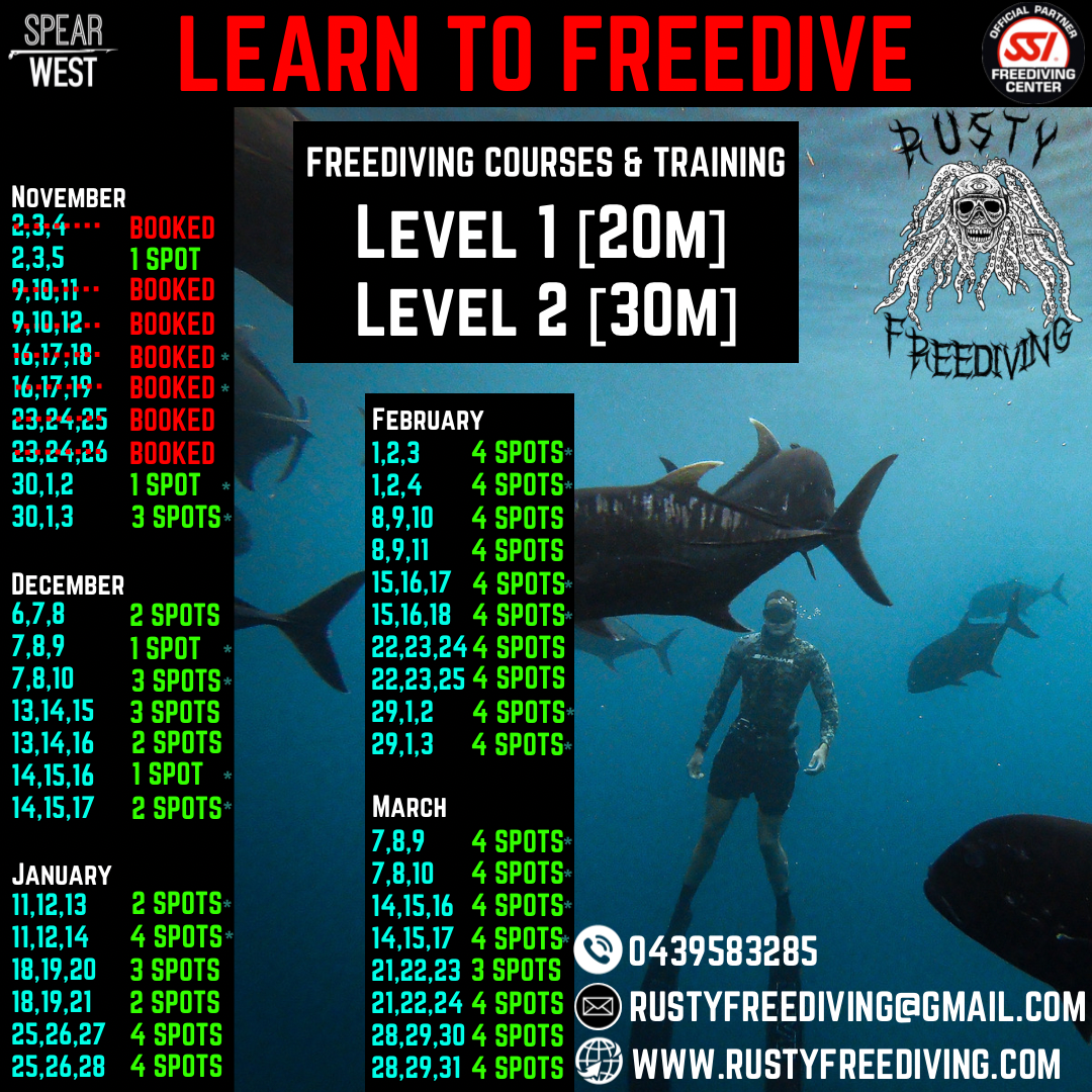SSI Freediving Level 1 (20m)