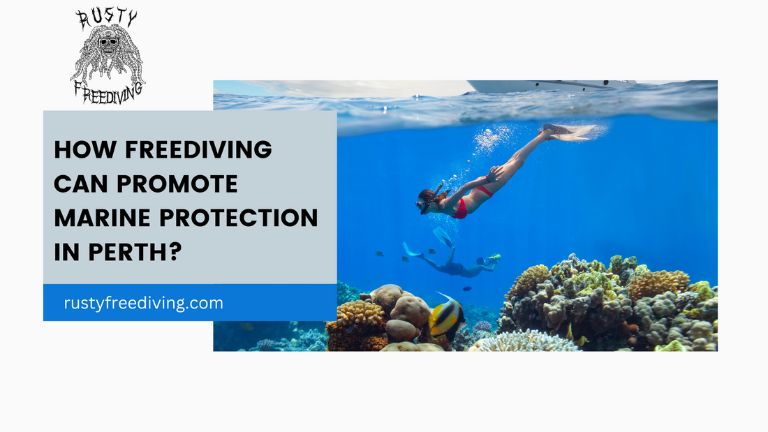 How Freediving Can Promote Marine Protection in Perth?