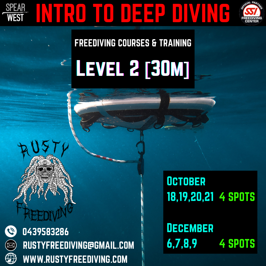 Free Diving Training Program Freediving Courses Perth | Freedive To 20m In 3 Days | BOOK ONLINE NOW ...