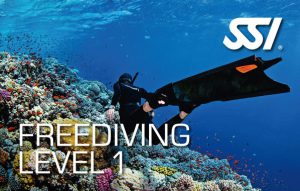 SSI Freediving Level 1 (20m)